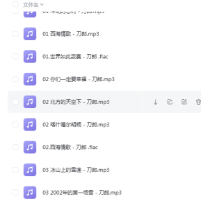 刀郎歌曲